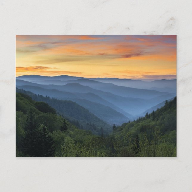 Great Smoky Mountains National Park Postkarte (Vorderseite)