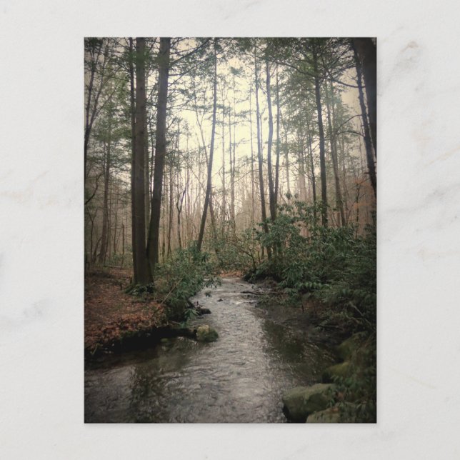 Great Smoky Mountains National Park Postkarte (Vorderseite)