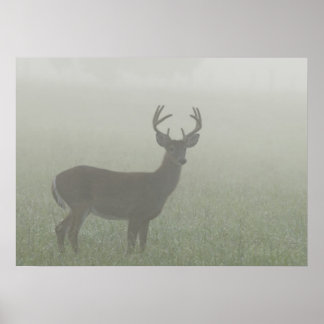 Great Smoky Mountains National Park, Tennesse, Poster