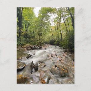 Great Smoky Mountains National Park, Tennessee Postkarte