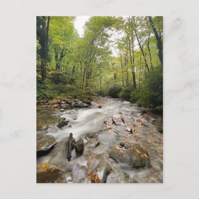 Great Smoky Mountains National Park, Tennessee Postkarte (Vorderseite)