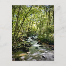 Great Smoky Mountains National Park, Tennessee