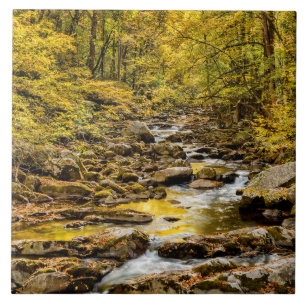 Great-Smoky-Mountains-Nationalpark. Big Creek Fliese
