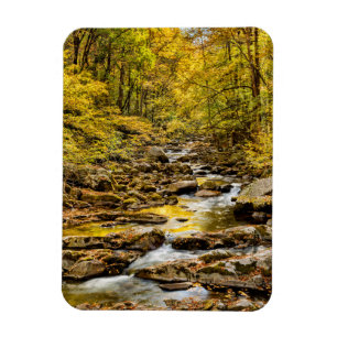Great-Smoky-Mountains-Nationalpark. Big Creek Magnet