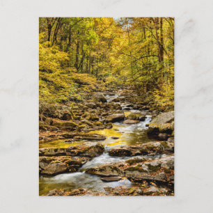 Great Smoky Mountains Nationalpark. Big Creek Postkarte
