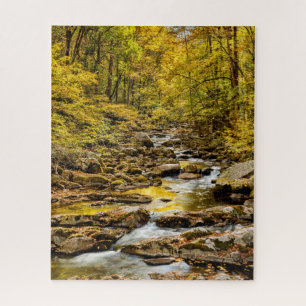Great-Smoky-Mountains-Nationalpark. Big Creek Puzzle