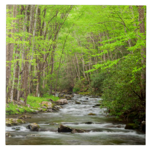 Great Smoky Mountains Nationalpark North Carolina Fliese