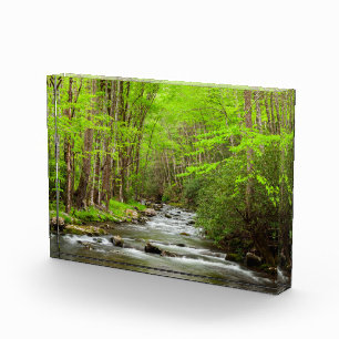 Great Smoky Mountains Nationalpark North Carolina Fotoblock