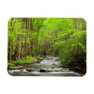 Great Smoky Mountains Nationalpark North Carolina Magnet