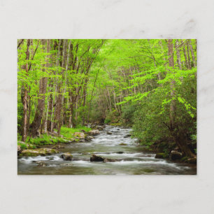 Great Smoky Mountains Nationalpark North Carolina Postkarte
