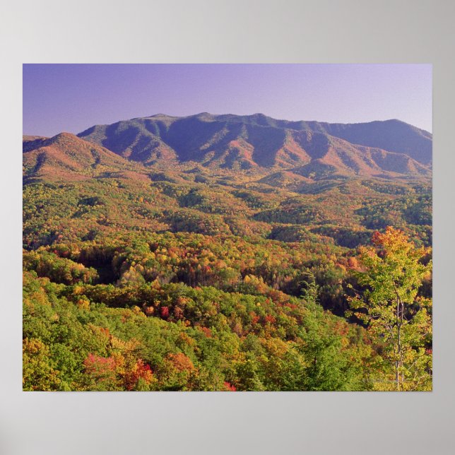 Great Smoky Mountains NP, Tennessee, USA Poster (Vorne)
