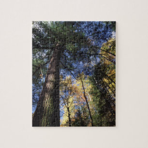 Great Smoky Mountains Puzzle