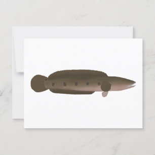 Great Snakehead Postkarte
