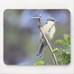 Great Tit Mouse Pad Mousepad