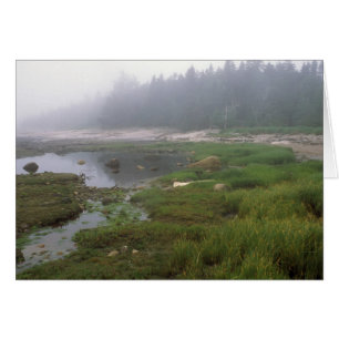 Great Wass Island Maine