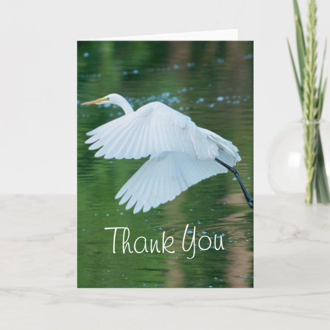Great White Egret Dankeskarte (Vorderseite)