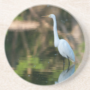 Great White Egret Getränkeuntersetzer