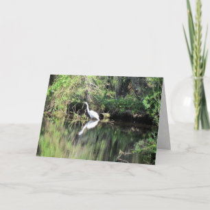 Great White Egret Grußkarte Karte