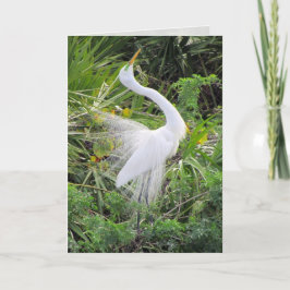 Great White Egret Liebe Dance Feiertagskarte