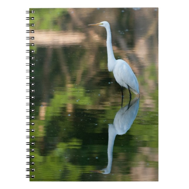 Great White Egret Notizblock (Vorderseite)