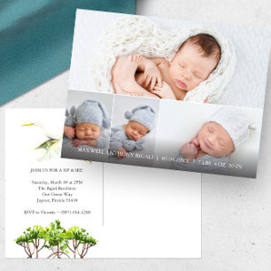 Great White Heron 4 Foto Geburtshinweise Postkarte