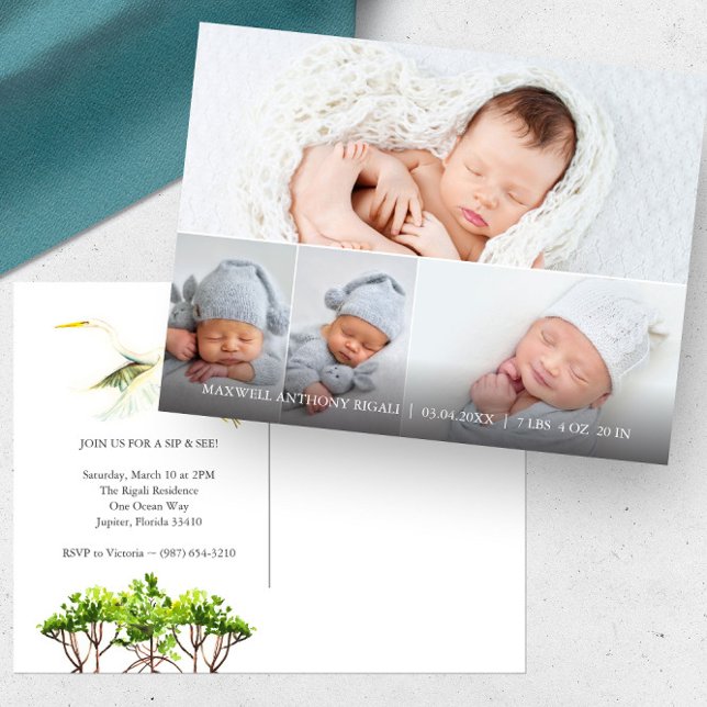 Great White Heron 4 Foto Geburtshinweise Postkarte (4 photo birth announcement sip and see florida mangroves and great white heron art Do Tell A Belle)