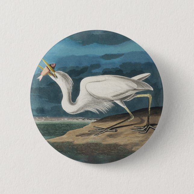 Great White Heron Audubon Bird Wildlife Painting Button (Vorderseite)