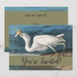 Great White Heron Audubon Bird Wildlife Painting Einladung