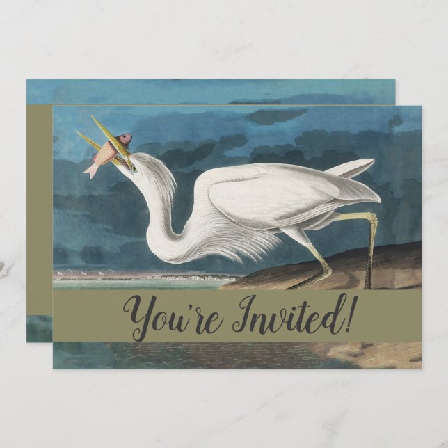 Great White Heron Audubon Bird Wildlife Painting Einladung (Vorne/Hinten)