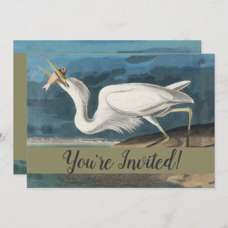 Great White Heron Audubon Bird Wildlife Painting Einladung
