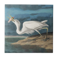 Great White Heron Audubon Bird Wildlife Painting