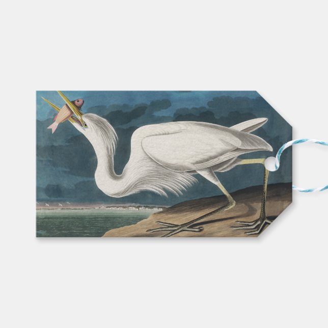 Great White Heron Audubon Bird Wildlife Painting Geschenkanhänger (Vorderseite (Horizontal))