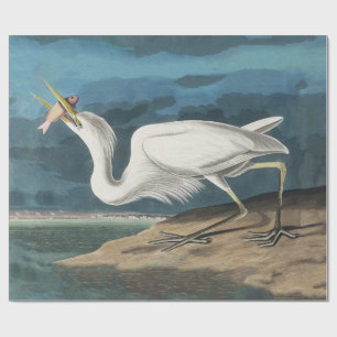 Great White Heron Audubon Bird Wildlife Painting Geschenkpapier