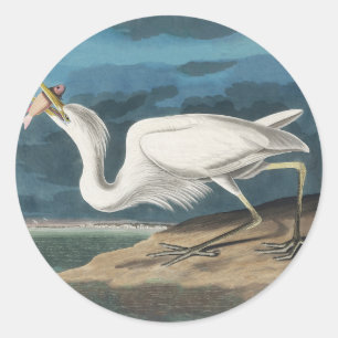 Great White Heron Audubon Bird Wildlife Painting Runder Aufkleber
