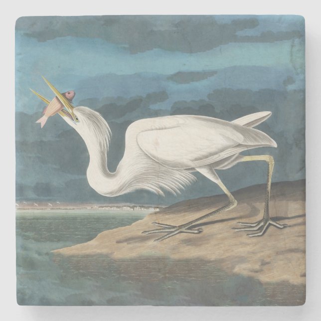 Great White Heron Audubon Bird Wildlife Painting Steinuntersetzer (Vorderseite)