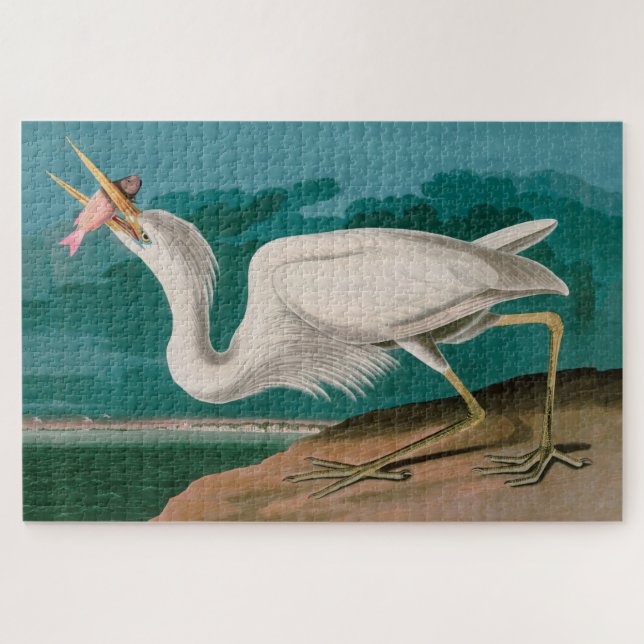 Great White Heron Birds of America Audubon Print Puzzle (Horizontal)