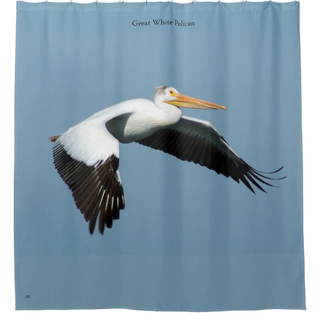 Great White Pelican Duschvorhang (Vorderseite)