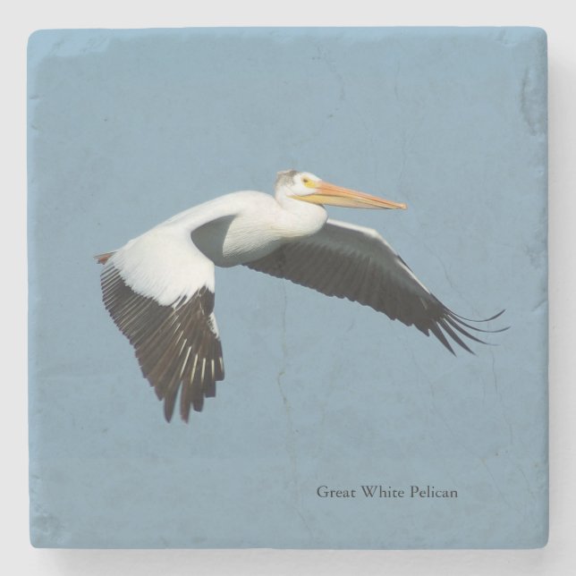 Great White Pelican Untersetzer (Vorderseite)