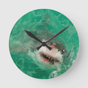 Great White Shark1 Runde Wanduhr