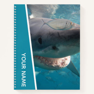 Great White Shark Australia Lächeln Teeth Notizbuch