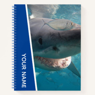 Great White Shark Australien lächeln Zähne, Blue B Notizbuch