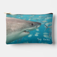 Great White Shark Australien
