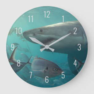 Great White Shark Close Up Underwater Australia Große Wanduhr