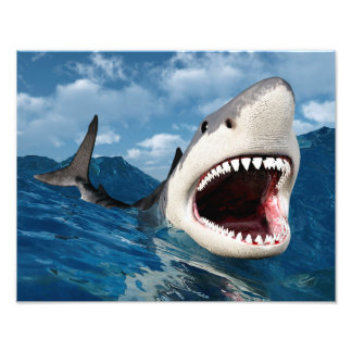 Great White Shark Fotodruck
