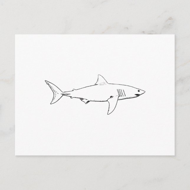 Great White Shark (Line Art) Postkarte (Vorderseite)