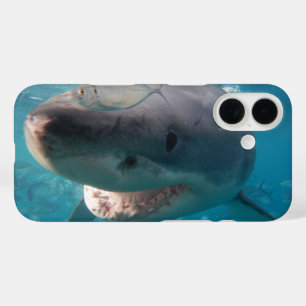 Great White Shark Smile Teeth Portrait Australien iPhone 16 Hülle