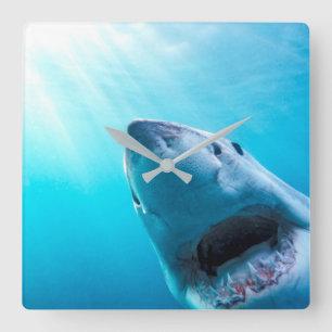 Great White Shark South Africa Quadratische Wanduhr