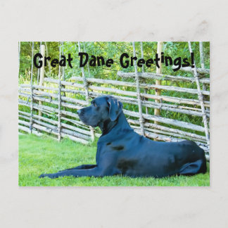 GreatDaneGreetingsPostcard Postkarte
