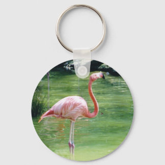 Greater Flamingo Schlüsselanhänger
