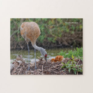 Greater Sandhill Crane Vater und Kind Puzzle